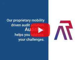 Audit Pro - Verify Assets Digitally